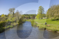 The River Wye in Bakewell in Springtime, Derbyshire Dales, Derbyshire, England, UK, Europe