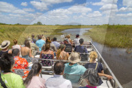 Tourists onboard airboat in the Everglades Safari Park, Miami, Florida, United States of America, North America
