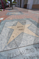 Walk of Fame stars on 8th Street in Little Havana, Miami, Florida, United States of America, North America