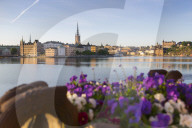 View of Riddarholmen and Sodermalm at dawn from near Town Hall, Stockholm, Sweden, Scandinavia, Europe