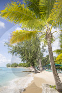 Beach, Holetown, St. James, Barbados, West Indies, Caribbean, Central America