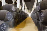 Sherry barrels at the Lustau bodega, Jerez de la Frontera, Cadiz province, Andalucia, Spain, Europe