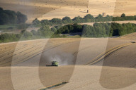 Harvesting wheat with combine harvester, near Winchester, Hampshire, England, United Kingdom, Europe