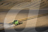 Harvesting wheat with combine harvester, near Winchester, Hampshire, England, United Kingdom, Europe