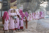 Buddhist nuns collecting alms in the early morning near Hsipaw, Shan State, Myanmar, Asia