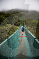 Selvatura Treetop hanging bridges, Monteverde Cloud Forest Reserve, Puntarenas, Costa Rica, Central America