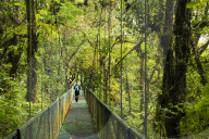 Selvatura Treetop hanging bridges, Monteverde Cloud Forest Reserve, Puntarenas, Costa Rica, Central America