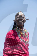 Portrait single Masai Mara man wearing traditional jewelry, headpiece and clothes, Masai Mara National Reserve, Kenya.