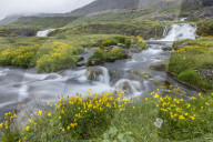 Dynjandi, Fjallfoss, is a series of waterfalls located in the Westfjords, VestfirÃ°ir, Iceland.