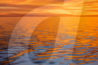 Beautiful sunset light reflected on a calm ocean near Isla San Marcos, Baja California Sur, Mexico.