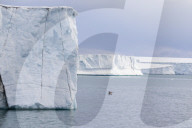 Glacier face at Negribreen, Eastern coast of Spitsbergen, an island in the Svalbard Archipelago, Norway.