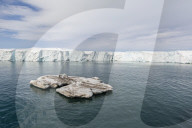 Glacier face at Negribreen, Eastern coast of Spitsbergen, an island in the Svalbard Archipelago, Norway.