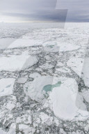 First year sea ice at Cape Fanshawe, Spitsbergen, Svalbard, Norway.