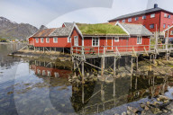 Sod roofed houses in the town of Reine, in the Lofoten Islands, Norway.