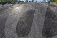 Animal forms in the 9,000 year old ground and polished stone age rock art at Leiknes, Norway.
