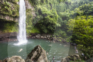 Tourists enjoy the refreshing cool waters of a waterfall on Taveuni Island, Republic of Fiji.