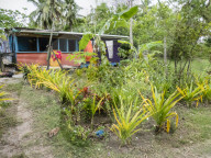 Village home on the small island of Dravuni, Kadavu Group, Republic of Fiji.