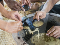 A kava ceremony from the people of Sabeto Village, Viti Levu, Republic of Fiji.