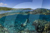 Snorkeling the pristine reefs on the remote Island of Alofi in The French Territory of Wallis and Futuna Islands.