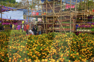 Chinese New Year Flower Market, Hong Kong, China, South East Asia