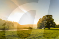 Autumn (Fall) morning mist and the River Derwent, Chatsworth Park, home of Duke of Devonshire, Chesterfield, Derbyshire, England