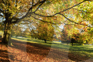 Autumn (Fall) colours, Chatsworth Park, stately home of Duke of Devonshire, Chesterfield, Derbyshire, England