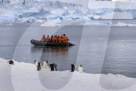 Gentoo penguins (Pygoscelis papua) and tourists on a zodiac, Cuverville Island, Antarctic Peninsula, Antarctica