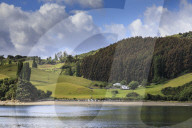 Lush rolling green hills and dense forest, scenic rural landscape, Castro inlet, Isla Grande de Chiloe, Lake District, Chile