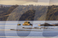 Floating house, salmon and mussel aquaculture, rural scene, late evening sun, Castro inlet, Isla Grande de Chiloe, Chile