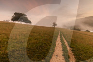 Early Autumn (Fall) mist, dawn, Chatsworth Park, Peak District National Park, Chesterfield, Derbyshire, England