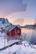 Stockfish and typical fishermen's cabin (Rorbu), Reine, Lofoten Islands, Norway