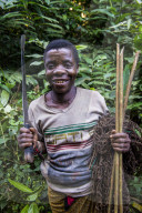 Baka pygmie man hunting in the jungle in the Unesco world heritage sight Dzanga-Sangha Special Reserve, Central African Republic