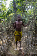Pygmie man on a hand made vine bridge in the Unesco world heritage sight Dzanga-Sangha Park, Central African Republic
