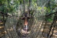 Pygmie walking above a hand made vine bridge in the Unesco world heritage sight Dzanga-Sangha Park, Central African Republic