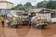 Overloaded carriers on the border of Nigeria, Cameroon