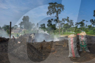 Coal production out of wood, Libongo, deep in the jungle of Cameroon