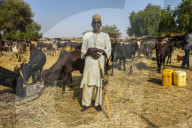 Proud farmer on the animal market in Niamey, Niger