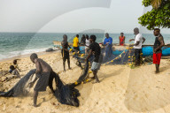 Local fishermen pulling their nets on a beach in Robertsport, Liberia