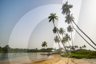 River flowing in the ocean south of Buchanan, Liberia
