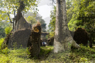 Old ruins on the former sklave colony Bunce island, Sierra Leone