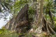 Old ruins on the former sklave colony Bunce island, Sierra Leone