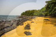 Pretty beach on Banana islands, Sierra Leone