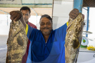 The fish market of Jeddah, Saudi Arabia
