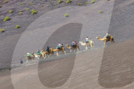 Tourist camel riding in the lava sands of Timanfaya National Park, Lanzarote, Canary islands