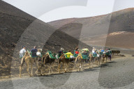 Tourist camel riding in the lava sands of Timanfaya National Park, Lanzarote, Canary islands