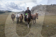 Mongol Horseman. Bunkhan Valley, Mongolia.