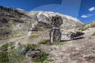 Shrine with Argyle Sheep horns and Blue sheep horns lower Nyerak village. Ladakh, India.