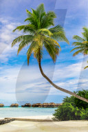 Scenic at Conrad Maldives Rangali Island.