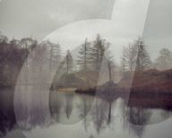 Bare trees surrounding the banks of Holme Fell Tarn on an overcast winters day in the Lake District.