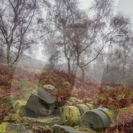 Millstones covered in moss lie derelict within the former Bole hill quarry on a misty autumn morning in the Peak District.
